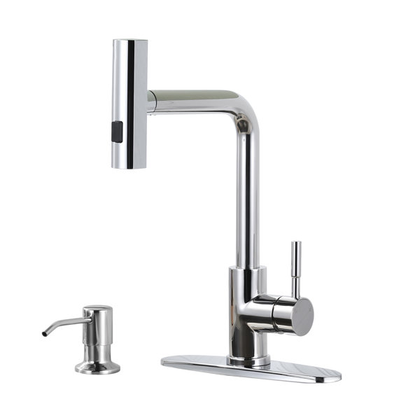 Aleasha SingleHandle High Arc Kitchen Faucet with Pull Down Sprayer